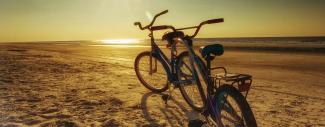 Hilton Head Bikes