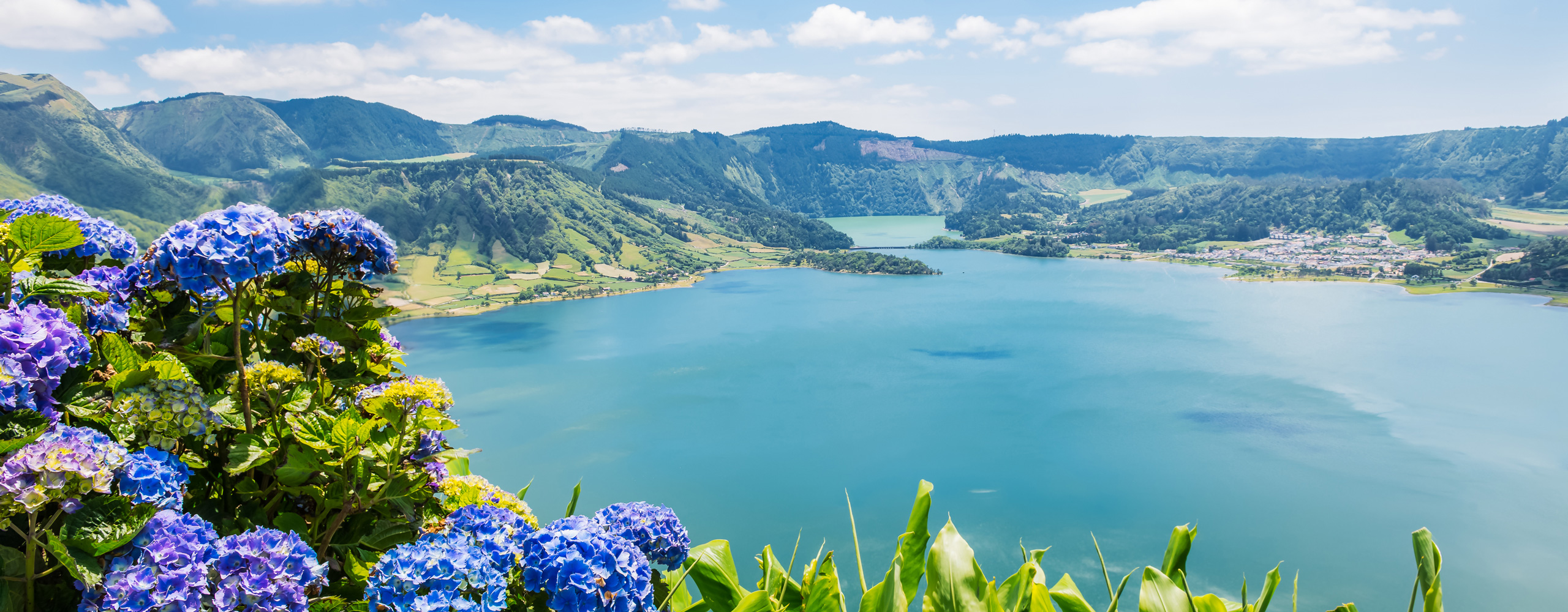 Azores Flowers over Lake