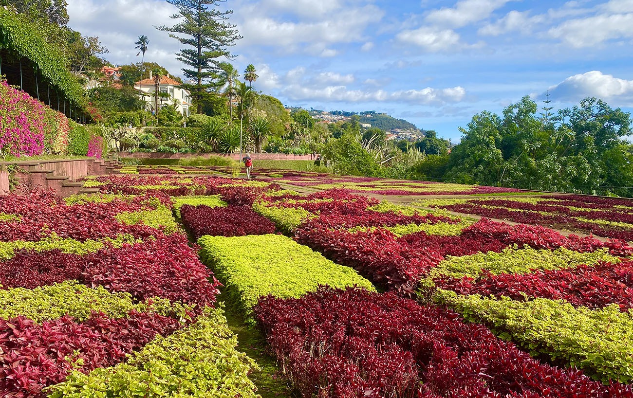 View of Funchal's Botanical Gardens in full spring bloom during Madeira Flower Festival Madeira Funchal Botanical Gardens