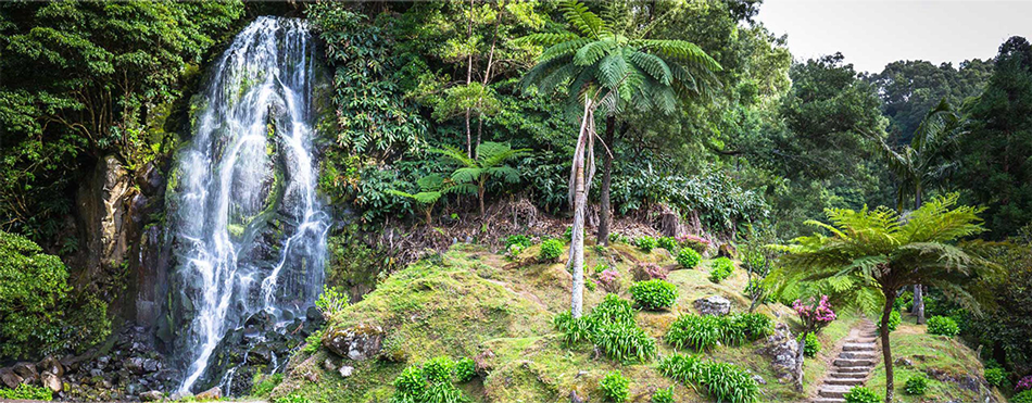 Waterfall in the Azores