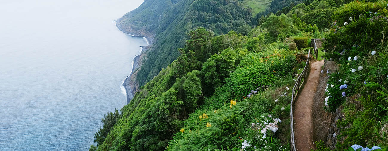 Path in the Azores leading to the ocean