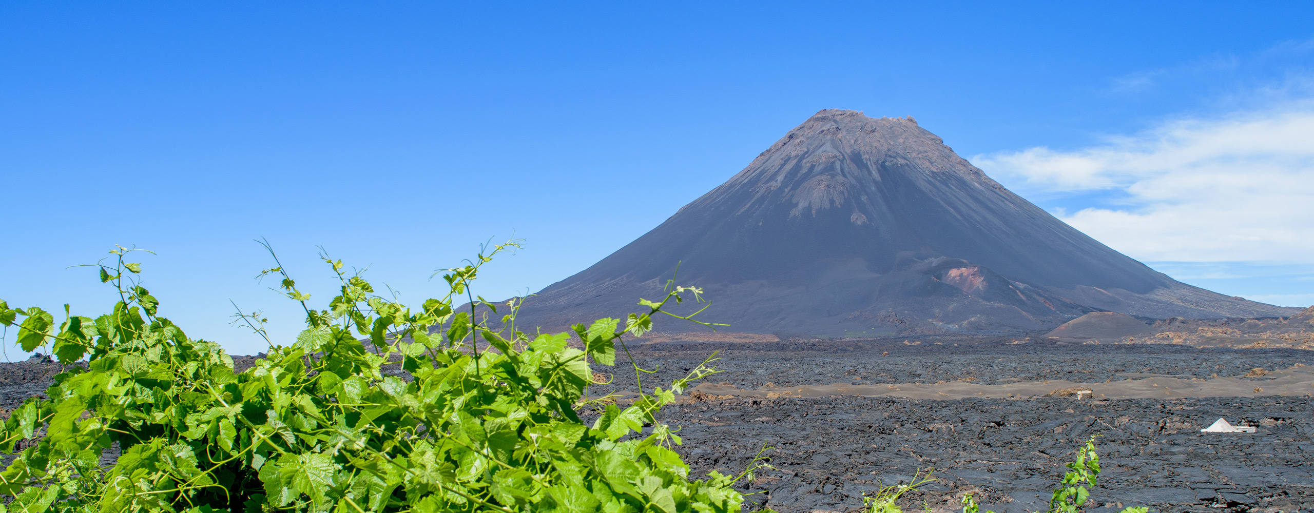 A stunning view of Fogo in Cabo Verde, featuring the majestic volcanic peak of Mount Fogo.