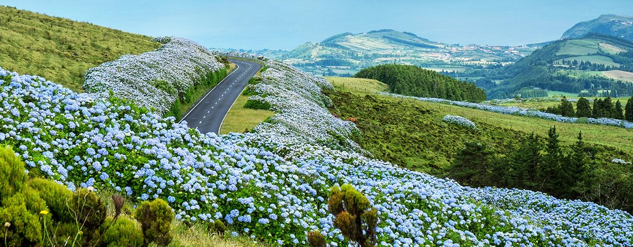 Road in Faial Azores