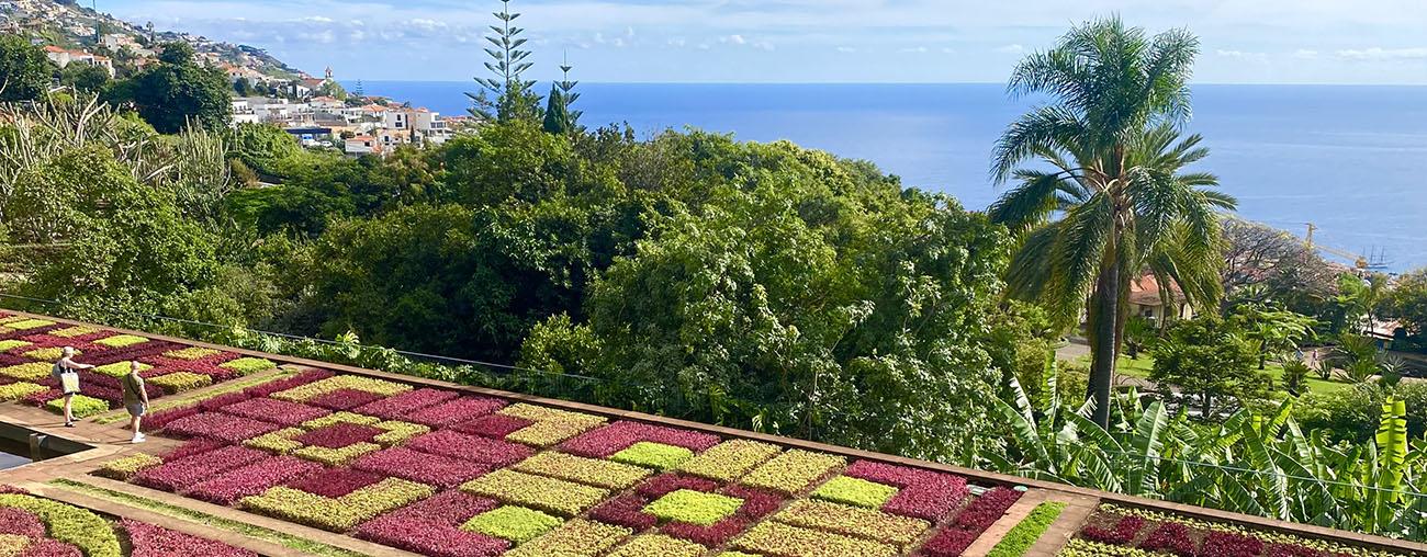 Overlooking the Botanical Gardens in Funchal, Madeira