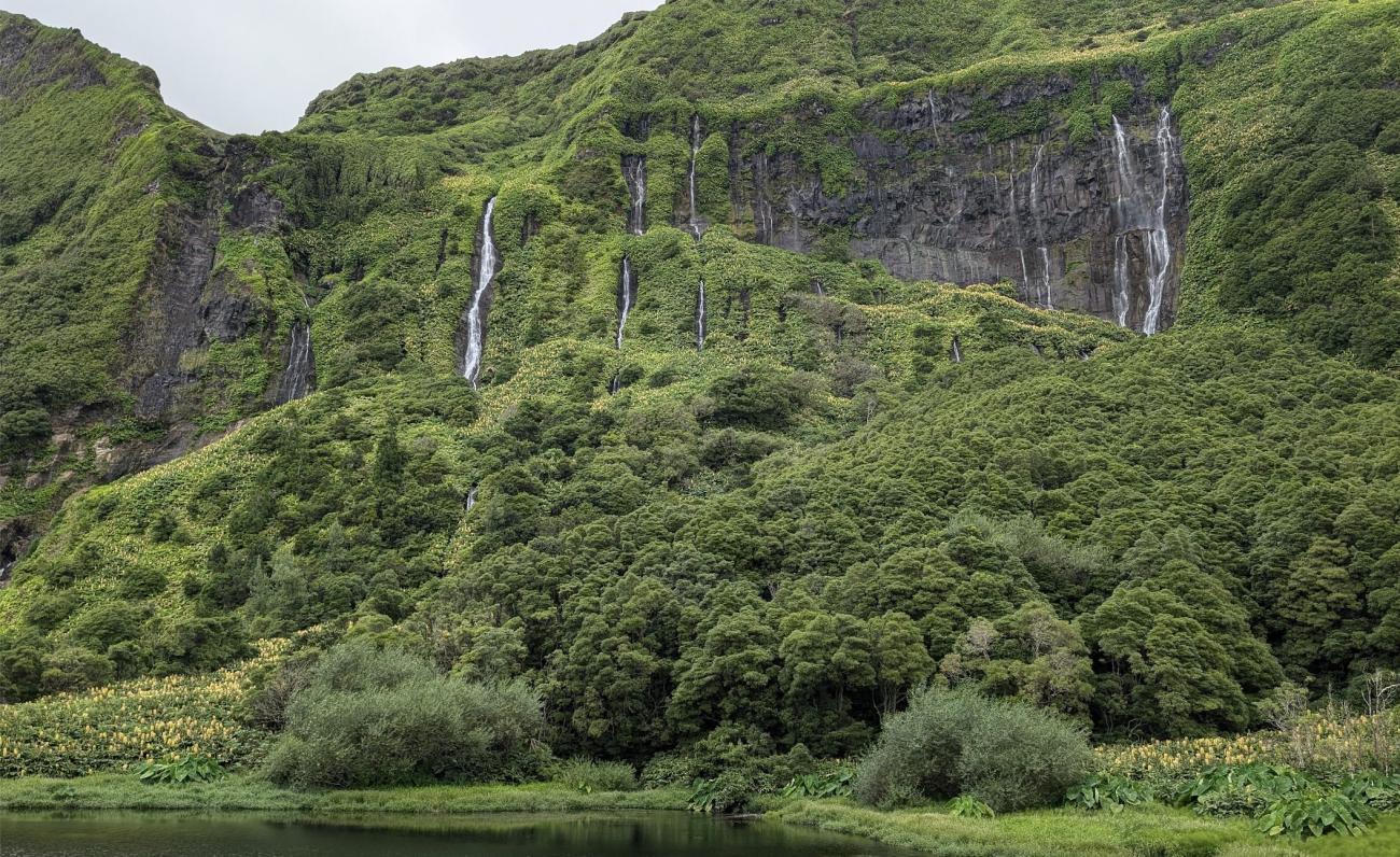 Waterfall Flores