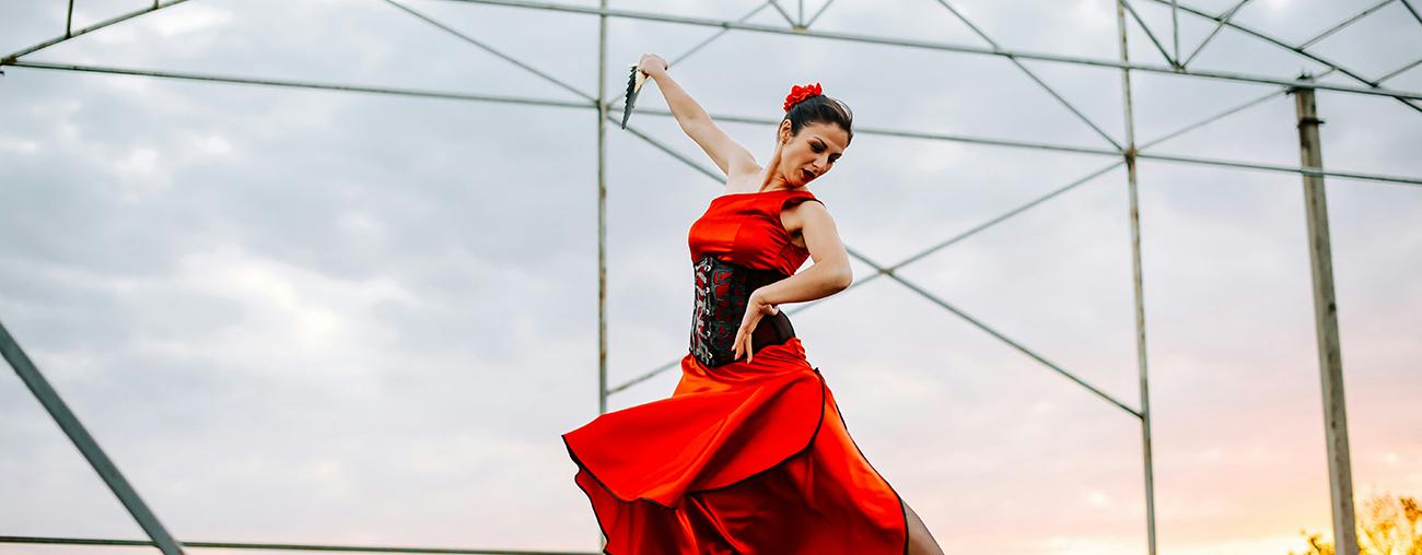 Flamenco Dancer 