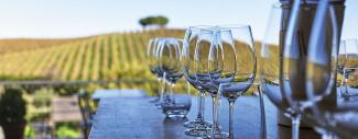 Alentejo wine glasses