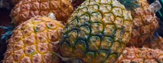 travel to azores from lisbon Pineapples Ponta Delgada