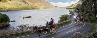 Jaunting Car Tour in Killarney National Park