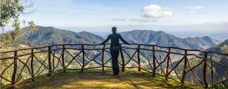 Madeira Overlook