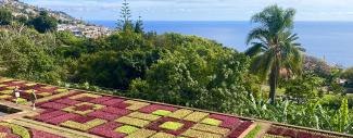 Overlooking the Botanical Gardens in Funchal, Madeira