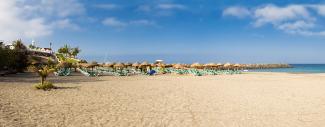 Beach on Tenerife, Canary Islands