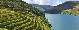 Douro River Valley Portugal