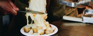Raclette, melted cheese dinner