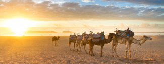 Camel ride in Morocco