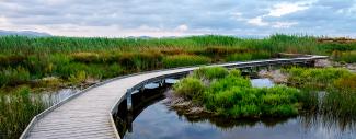 Albufera in Valencia Spain
