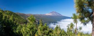 Mt Teide in Tenerife