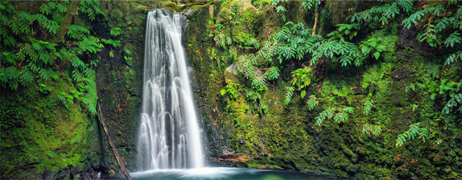 Azores Nature Lovers Hiking