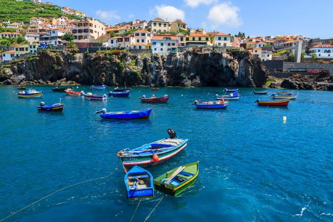 Madeira fishing boats
