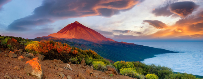 Mt. Teide, Tenerife